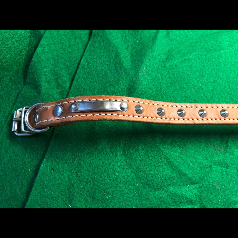 Dog collar